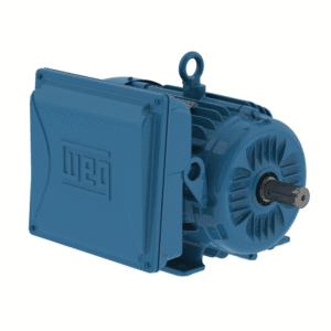 Motor Monofásico IP55 FR-100L 3HP 3,600 220V Sellado. WEG - Imagen 1